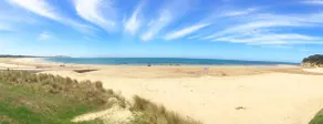 Seaview Haven: Pet Friendly - Image 4