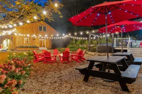 Family & Friends Retreat*Hot Tub*Game Room*King Beds*Firepit*Near Lakes*Sauna - Image 3