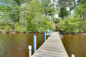 Peaceful Long Pond Cottage w/ Dock & Views - Image 3