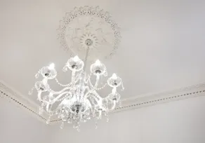 The Forrest Road Residence - Image 4