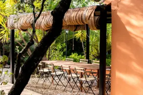 La Jacaranda - Image 4