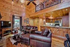 Forest Cottage - 2 Bedroom Cottage in Cashiers - Image 3