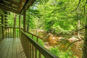 The Cozy Cabin on North Creek! - Image 2