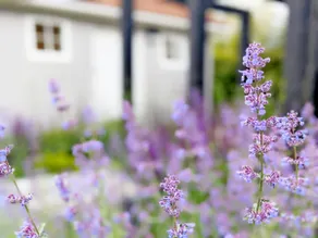 Little Maplewood, Tangmere - sleeps 2 guests  in 1 bedroom - Image 3