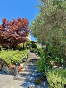 Villa Luba Helena - Image 2