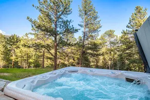 Elk Meadow | 2 King 2 Queen bd | Hot tub | Game Rm - Image 3