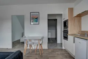 Refurbished M-Apartment – View of Pont de Rohan - Image 5