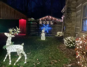 Charley's Cabin - Image 3