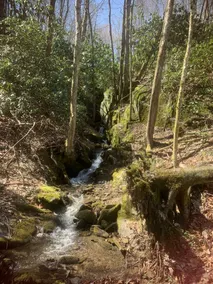Mossy Falls -- Adorable Tiny Home Located in the Smokies with Private Waterfalls and a Fire Pit! - Image 3
