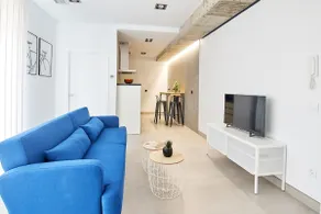 9NIDOS Céntrica Suites - APARTMENT 4 - Image 4