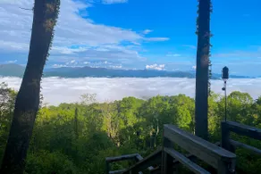 Mtn Treehouse w/ Fire Pit, Breathtaking Views - Image 2