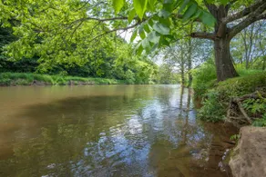 Every Amenity & on the New River & Hot Tub! - Image 5