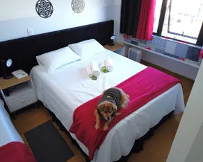 Apartment 72 - Vital Cortelletti Building - Image 3