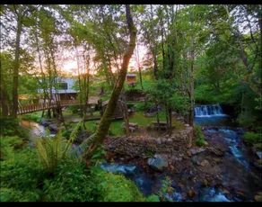 Quinta da Azenha, Paradise near Porto - Image 4