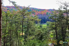 Mountainside Chalet (#162) - Great view of golf course and valley | Quiet location! - Image 2