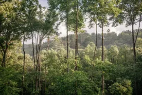 Pet-Friendly Blue Ridge Cabin on 9 Acres! Views, Theater, Game Room, Trails! - Image 2