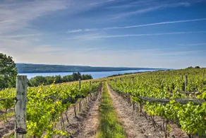 Finger Lakes Farm Retreat: Walk to Wineries! - Image 2