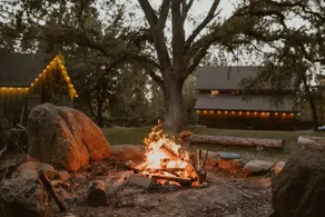 Romantic Forest Lovers Nest by Casa Oso - Image 4