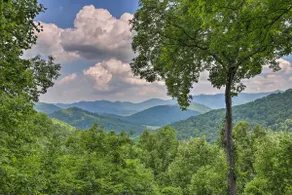 Black Mountain Gem w/ Inviting Deck & Scenic Views - Image 3