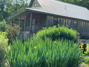 Billie’s Bunkhouse|Cozy Ozark Cabin Near Town - Image 3