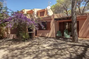 Villa in the pine forest by the sea in Sardinia - Image 2