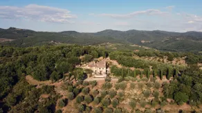 Podere Erbolino - Image 3