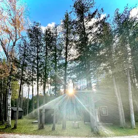 Aspen Cabin - 1 Bedroom Cabin Sleeping 2 - Including Breakfast - Image 5