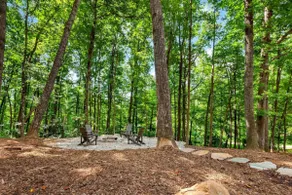 The Toasted Marshmallow—Disc Golf—Fire Pit—Hiking! - Image 3