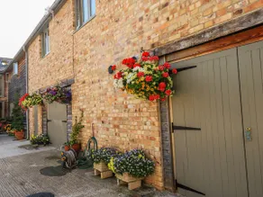 The Mews - Image 3