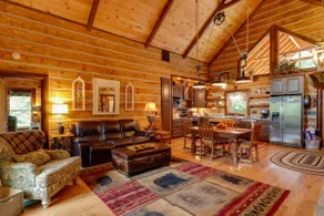 Spacious Blue Ridge Cabin w/ Private Hot Tub! - Image 4