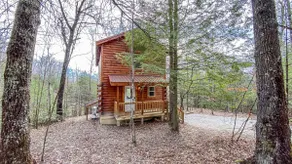 Love Shack- Hot Tub, Firepit, Fireplace, WIFI - Image 2
