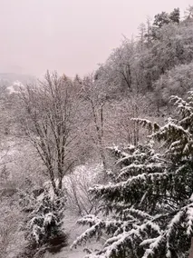 Waldseele Apartment - Image 2