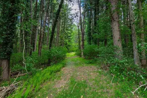 The Safe Harbor Home (Peaceful, Quiet, Nature) - Image 5