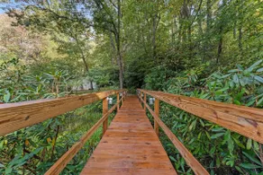 Mama Bear's Cottage, Pond,Firepit & Great Wifi - Image 2