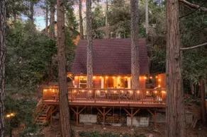 Cooled Micro Cabin | 1Bed + Loft - Image 3