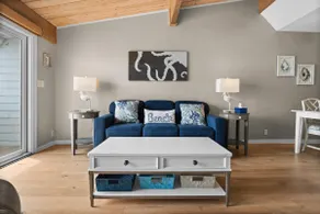 Dolphin View - Image 3