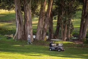 Lovely 2BR/2BA condo on the 9th Hole at Blacklake - Image 4