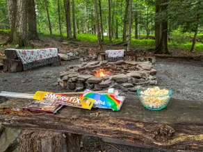 Fire Pit-Theater-Arcades-Hot Tub-Dogs Welcome - Image 5