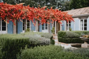 The French House- European inspired luxury - Image 4