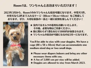 R1/Pets allowed! Ocean view/Close to Garinko wharf - Image 5