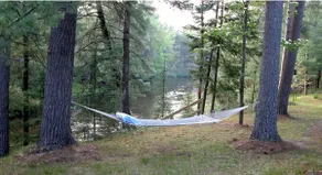 Elysian River Escape: Fly-Fishing Paradise on the Manistee River! - Image 5