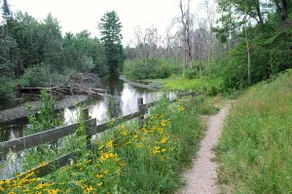 Elysian River Escape: Fly-Fishing Paradise on the Manistee River! - Image 3