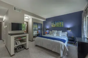 The Geneva Studio by Innsbrook Vacations! - Image 3