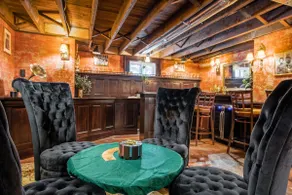 The Green Monster: Indoor Slide + Basement Bar - Image 4