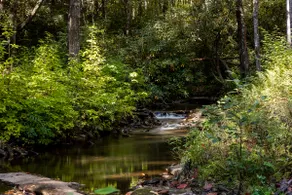 By the Creek | Private 3-Bedroom Creekside Cottage Near Brevard - Image 5