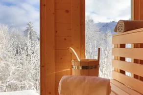 House-Premium-Private Bathroom-Mountain view-Werkmeisters Hütte - Image 2
