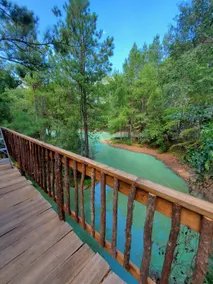Waterfront Treehouse In A Magical Forest! - Image 2