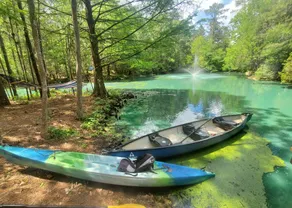 Waterfront Treehouse In A Magical Forest! - Image 5