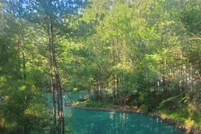 Waterfront Treehouse In A Magical Forest! - Image 4