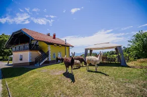 Apartment in Pony Ranch - Zosi - Image 2